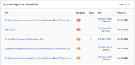 top known exploitable vulnerabilities widget