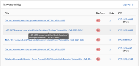 top vulnerabilities widget